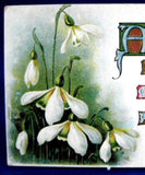 Antique New Year 1906 Postcard Postcard Happy New Year Snowdrops Poem Maine