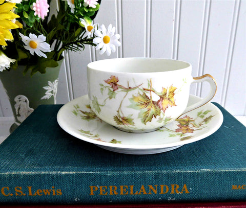 French Haviland Limoges Cup And Saucer 1920s Foliage Leaves Antique France