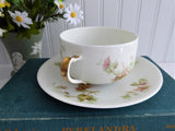 French Haviland Limoges Cup And Saucer 1920s Foliage Leaves Antique France
