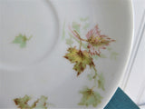 French Haviland Limoges Cup And Saucer 1920s Foliage Leaves Antique France