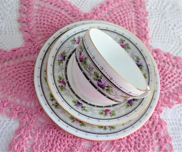 Shelley Rose Border Cup And Saucer With Plate Rose Lace 1920s Bute