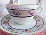 Shelley Rose Border Cup And Saucer With Plate Rose Lace 1920s Bute Teacup Trio