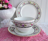 Shelley Rose Border Cup And Saucer With Plate Rose Lace 1920s Bute Teacup Trio
