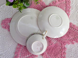 Shelley Rose Border Cup And Saucer With Plate Rose Lace 1920s Bute Teacup Trio