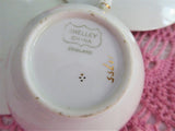 Shelley Rose Border Cup And Saucer With Plate Rose Lace 1920s Bute Teacup Trio