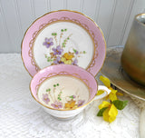 Pretty Pink Floral Cup And Saucer Tuscan Enamel Accents On Transfer 1920s Bone China