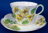 Cup And Saucer Salisbury Geranium 1930s English Bone China Teacup