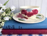 Cup And Saucer Blue Ridge Poinsettia Teacup 1940s Colonial Shape Holiday