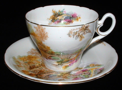 Shelley Heather Cup and Saucer Old Cambridge England Landscape Ring Handle