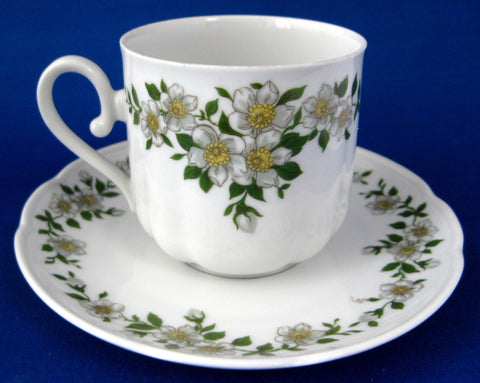 Bavarian Apple Blossom Cup And Saucer Porcelain Seltmann 1946-1970