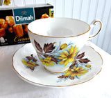 Regency Yellow Daisies Cup And Saucer English Bone China 1950s