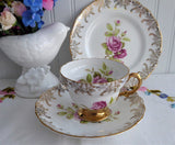 Pink Roses Gold Teacup Trio Cup And Saucer With Plate Rosina 1950s Gold Overlay