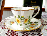Cup And Saucer Salisbury White Dog Roses 1960s English Bone China Teacup