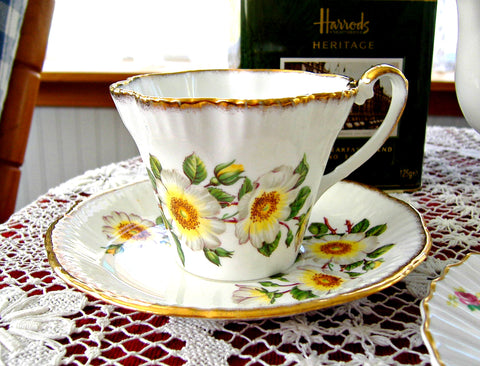 Cup And Saucer Salisbury White Dog Roses 1960s English Bone China Teacup