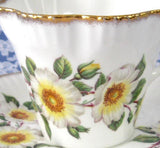 Cup And Saucer Salisbury White Dog Roses 1960s English Bone China Teacup