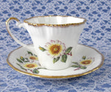 Cup And Saucer Salisbury White Dog Roses 1960s English Bone China Teacup