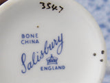 Cup And Saucer Salisbury White Dog Roses 1960s English Bone China Teacup