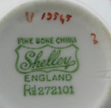 Shelley Dainty Rose Spray Bridal Rose Cup and Saucer England Pink Trim