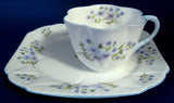 Shelley China Dainty Blue Rock Cup and Plate Snack Set Buffet Tennis Tea And Toast England