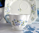 Shelley China Dainty Blue Rock Cup and Plate Snack Set Buffet Tennis Tea And Toast England