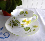 Shelley Celandine Dainty Shape Cup and Saucer English Bone China Green Trim Yellow Floral