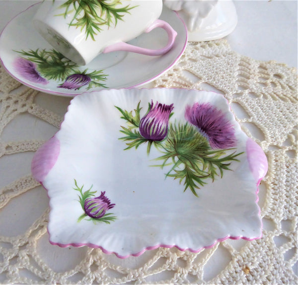 1950s-Shelley-Dainty-Thistle-