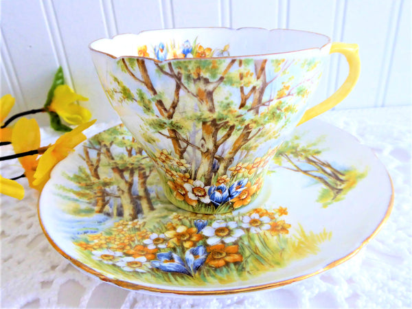 Shelley Daffodil Time Cup and Saucer 1950s Sunny Yellow Gold Trim