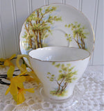 Shelley Daffodil Time Cup and Saucer 1950s Sunny Yellow Gold Trim New Cambridge