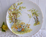 Shelley Daffodil Time Cup and Saucer 1950s Sunny Yellow Gold Trim New Cambridge