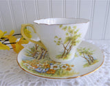 Shelley Daffodil Time Cup and Saucer 1950s Sunny Yellow Gold Trim New Cambridge