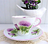 Shelley Thistle Cup And Saucer Cambridge Shape Pink Trim 1950s