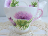 Shelley Thistle Cup And Saucer Cambridge Shape Pink Trim 1950s