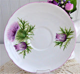 Shelley Thistle Cup And Saucer Cambridge Shape Pink Trim 1950s