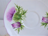 Shelley Thistle Cup And Saucer Cambridge Shape Pink Trim 1950s