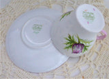 Shelley Thistle Cup And Saucer Cambridge Shape Pink Trim 1950s