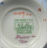 Shelley Primrose Chintz Footed Oleander Teacup Burnished Gold Pale Blue