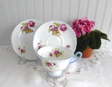 Shelley Cup Saucer Plate Gainsborough Floral Blue Trim Teacup Trio