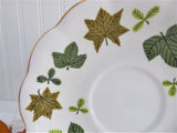 Leaves Cup And Saucer Maples Alder Royal Standard 1950s Bone China