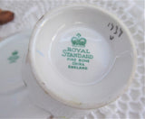Leaves Cup And Saucer Maples Alder Royal Standard 1950s Bone China