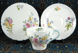 Shelley Teacup Trio Cambridge Shape Wild Flowers Cup And Saucer And Plate Blue Trim