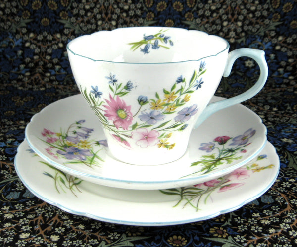 Shelley Teacup Trio Cambridge Shape Wild Flowers Cup And Saucer