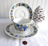 Retro Teacup Trio Nuts Arzberg Bavaria 1960s Mid Century Modern