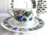 Retro Teacup Trio Nuts Arzberg Bavaria 1960s Mid Century Modern