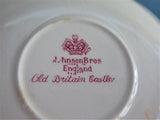 Cup And Saucer Old Britain Castles Pink Transferware Johnson Brothers UK 1960s