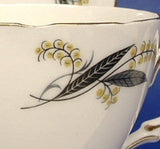 Mid Century Cup and Saucer Royal Vale English Bone China Retro Colors 1960s