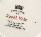 Mid Century Cup and Saucer Royal Vale English Bone China Retro Colors 1960s