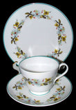 Shelley Bailey's Dogwood Cup And Saucer With Plate Windsor Teacup Trio Teal Trim