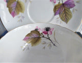 Shelley Bramble Cup And Saucer Briar Rose Lincoln 1963-1966 Pink Lavender Grey