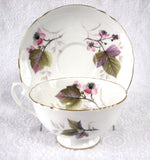 Shelley Bramble Cup And Saucer Briar Rose Lincoln 1963-1966 Pink Lavender Grey