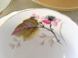 Shelley Bramble Cup And Saucer Briar Rose Lincoln 1963-1966 Pink Lavender Grey